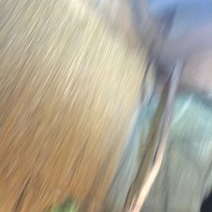 Meet your Posher, Elicia